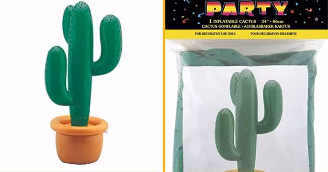 cactus-gonflable