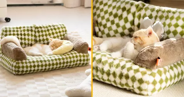 un-canape-pour-chat-ou-pour-tres-petit-enfant