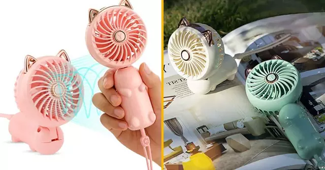 ventilateur-portatif-chat