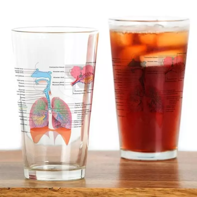 respiratory_system_complete_drinking_glass