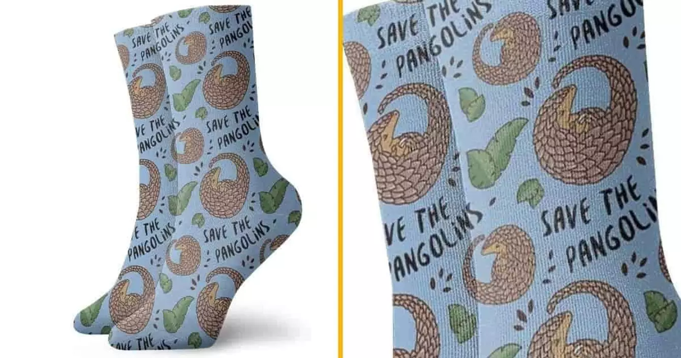 paire-chaussette-pangolin