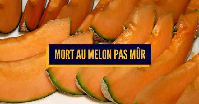 melon