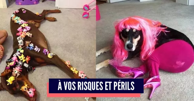 une_chiens_enfants