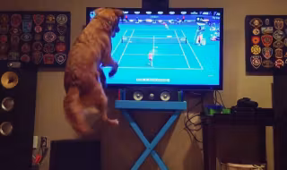 252B654000000578-0-image-a-28_1422546530108