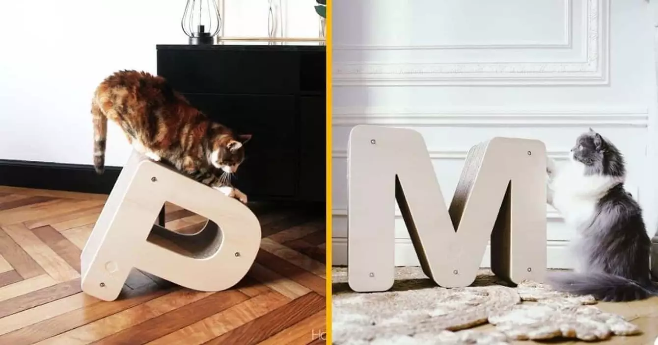 griffoir-chat-lettre-lalphabet-choix