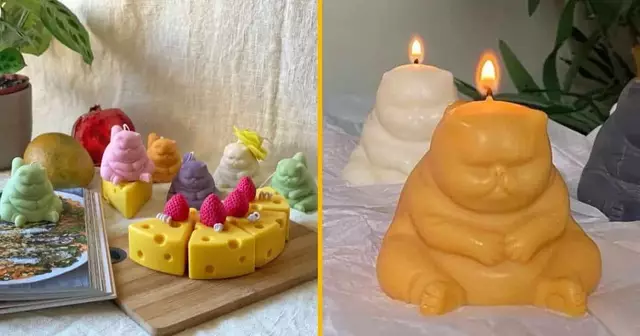 bougie-chat-obese-grumpy