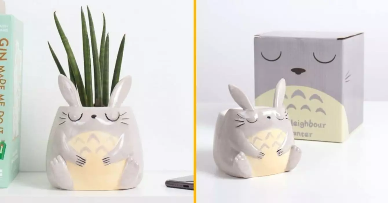 cache-pot-totoro