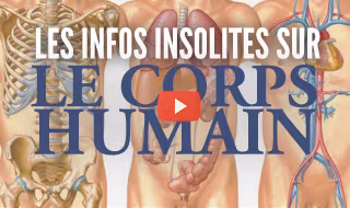 une-insolite-human-body