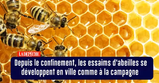 BONNES_NOUVELLES_04MAI