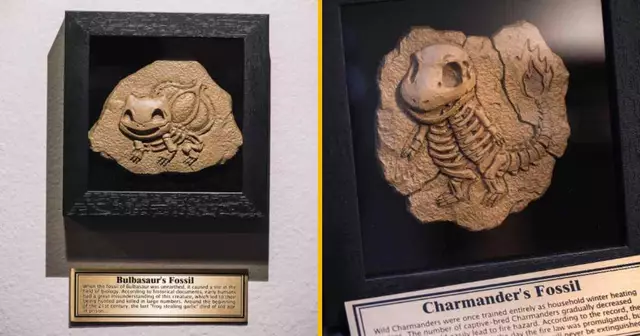 une-plaque-fossile-pokemon