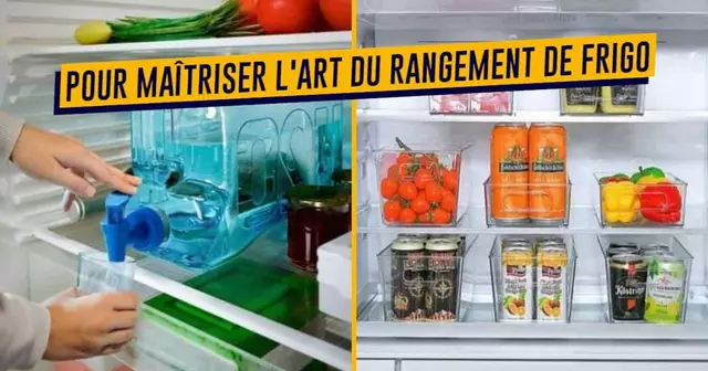 UNE_SHOPPING_FRIGO-RANGEMENT.jpg