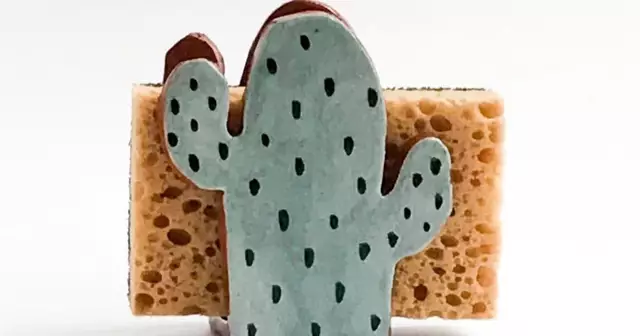 porte-eponge-cactus