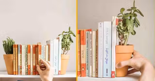 serre-livre-pot-fleur