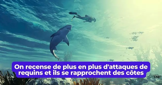 requin