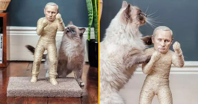 grattoir-chat-vladimir-poutine