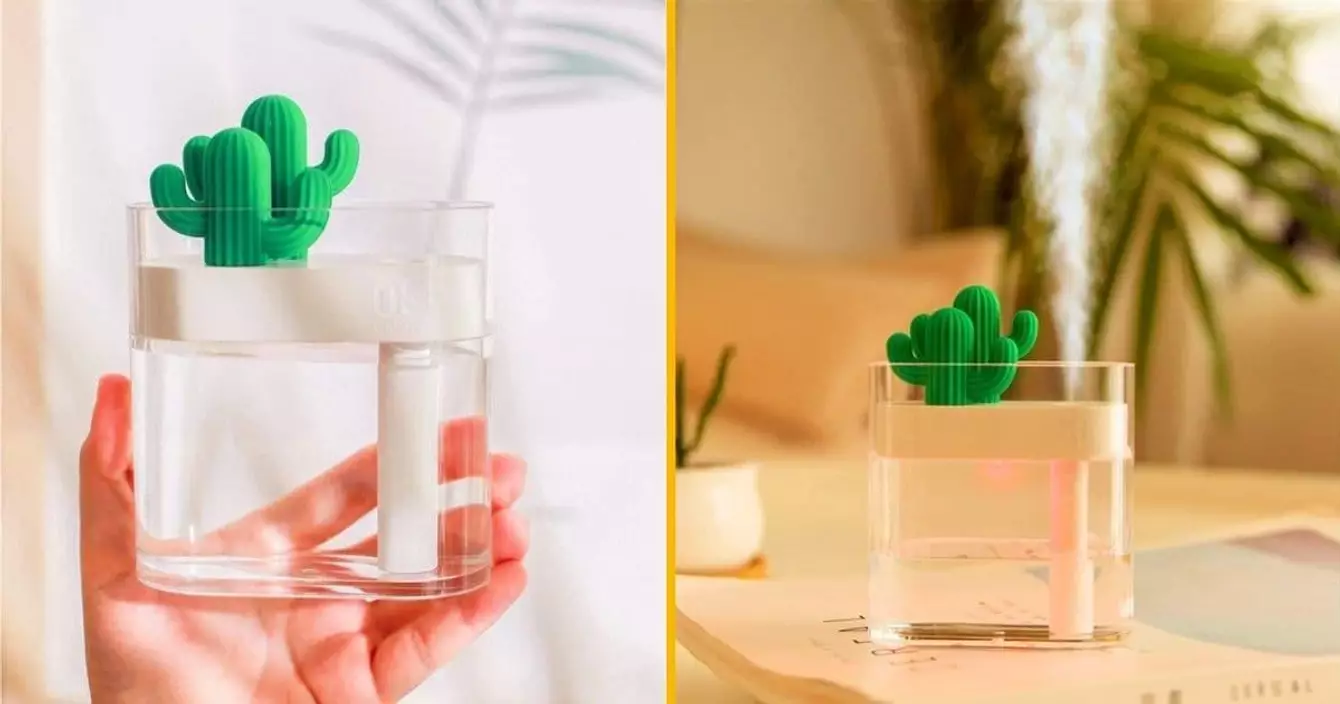 cactus-humidifier-air
