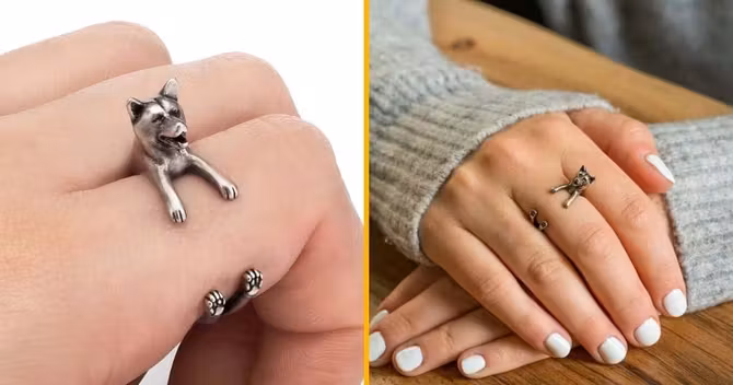 coussin-shiba-galaxie