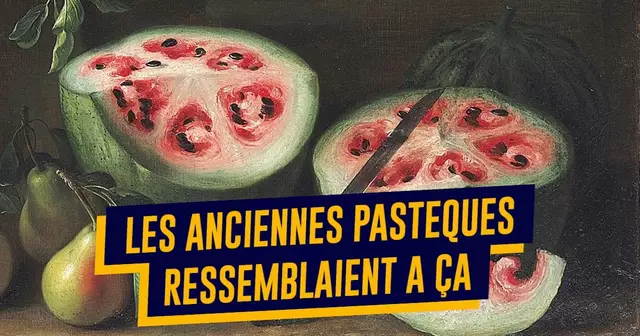 top fruits legumes anciens