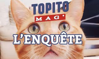une_topito_mag (1)