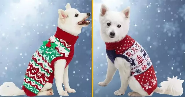 pull-de-noel-renne-retro-toutou