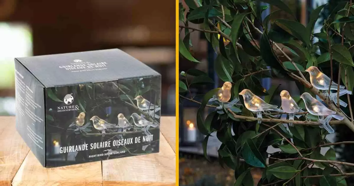 guirlande-lumineuse-solaire