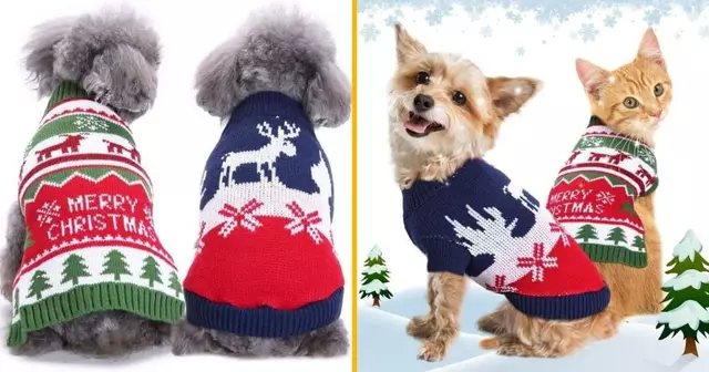 vetement-noel-animal-compagnie