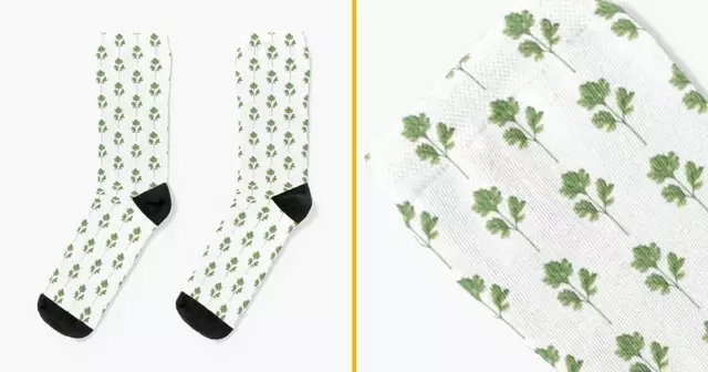 chaussettes-coriandre