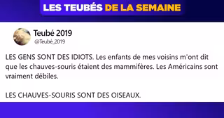 top teubés annee 2019-1