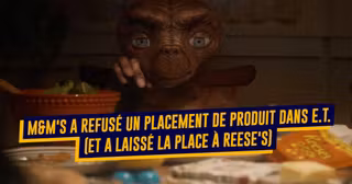 une-top-marques-erreurs-dommage