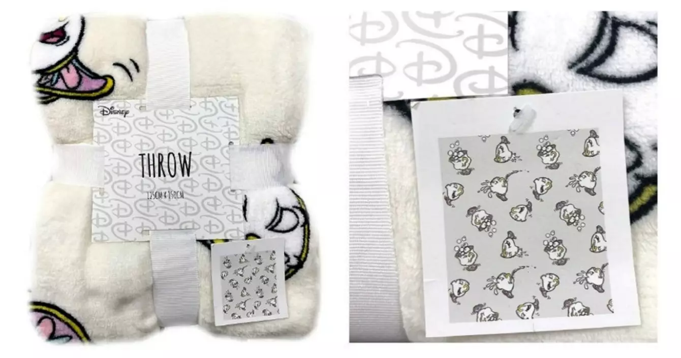 couverture-belle-et-la-bete