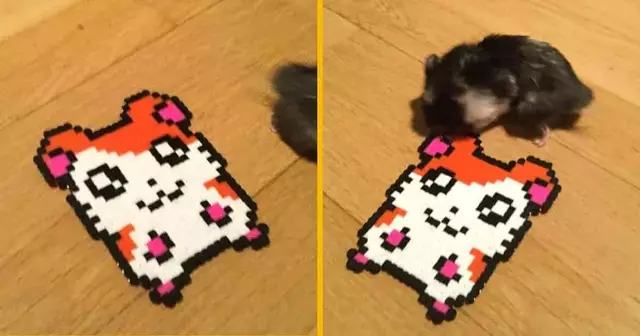 petit-hamtaro-pixels