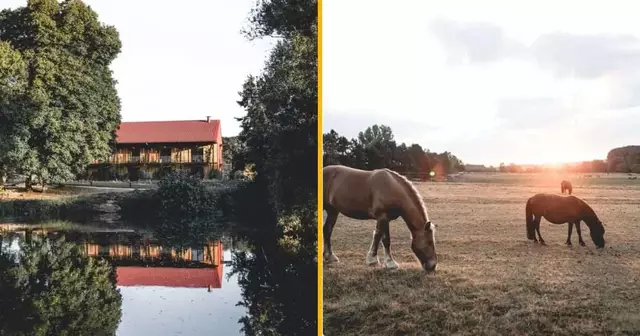 ranch-domaine-style-ranch-rambouillet