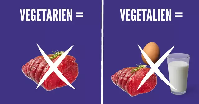 une-vege