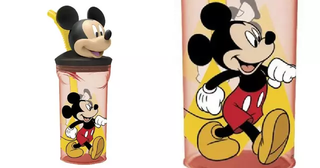 gourde-mickey