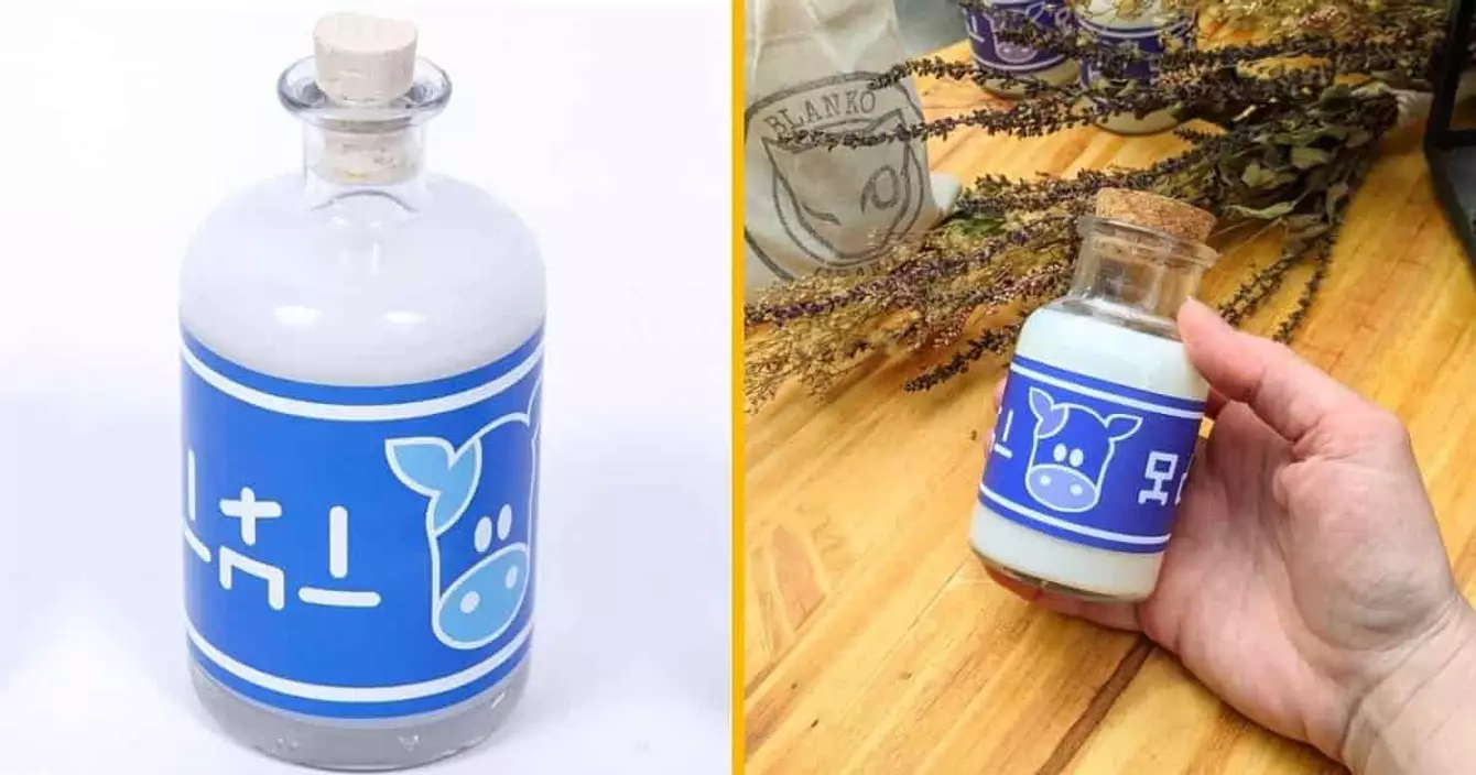 bouteille-lait-zelda