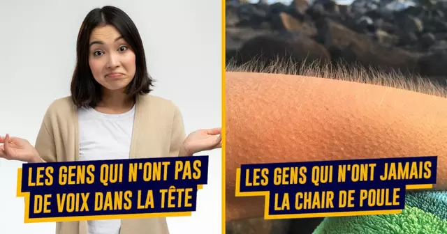 UNE-TOP-PARTICULARITES-PHYSOQUES-EXPLICATIONS