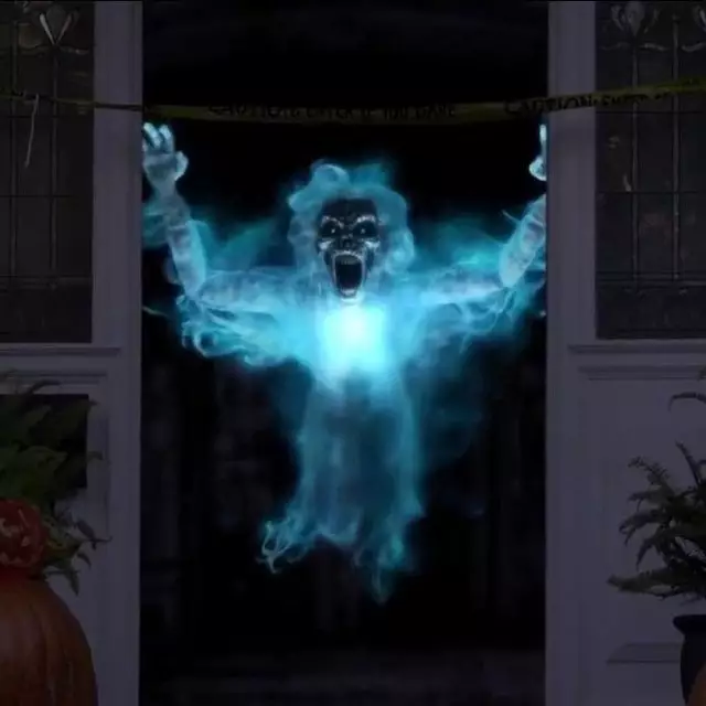 1254866311448633309_5e29f7e83a01