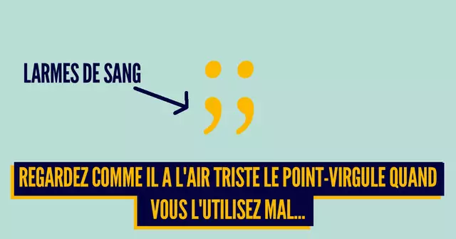 une_point_virgule