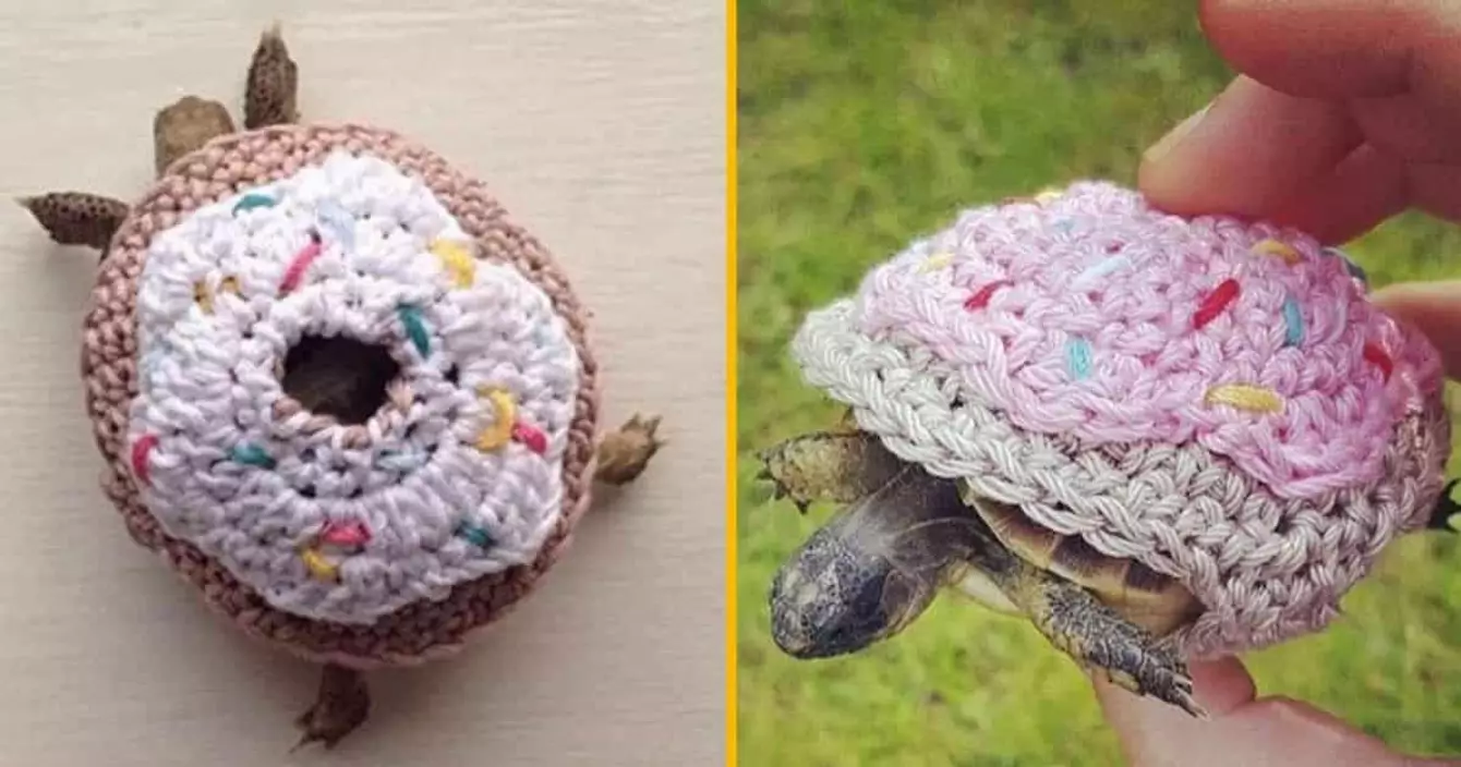 costume-tortue-donut