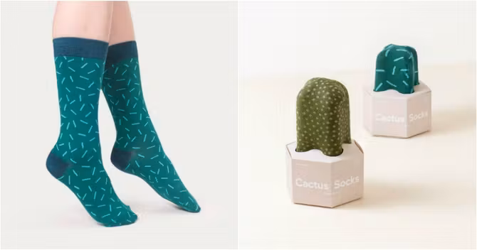chaussettescactus