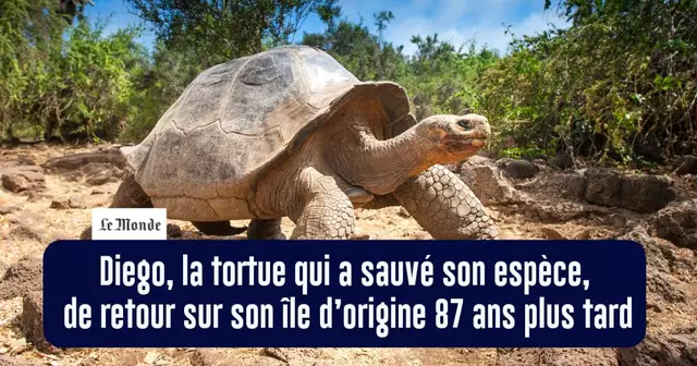 BONNES-NOUVELLES-SEMAINE-4