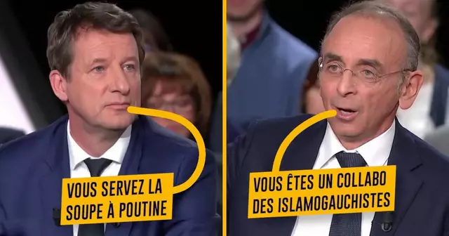 top insultes jadot zemmour