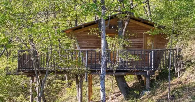 cabane-perche-arbre-paca