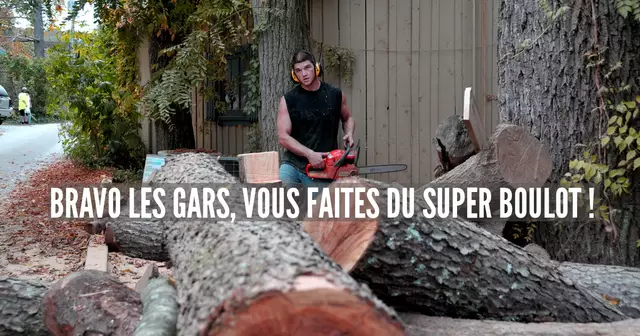 Wood_Cutter_(6236527192)