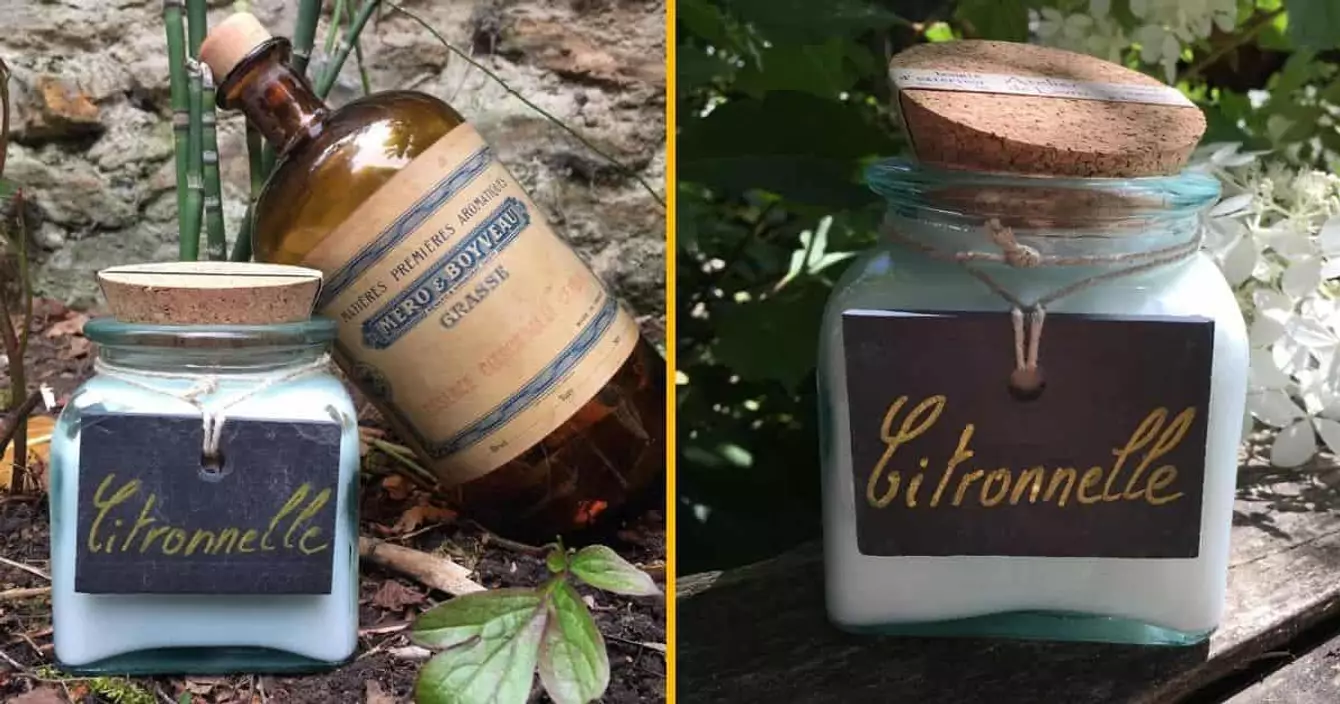 bougie-citronnelle-