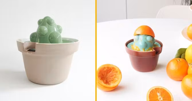 presse-agrumes-cactus