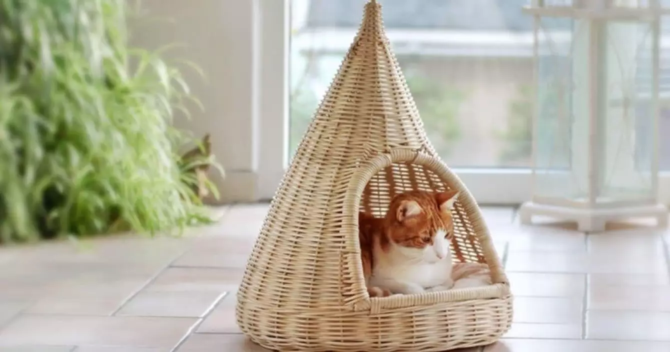 niche-chat-fibre-naturelle-tressee-main