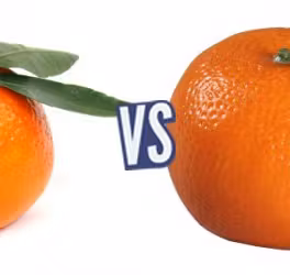 battle-346387-1419617140