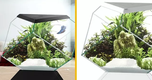 aquarium-design-2