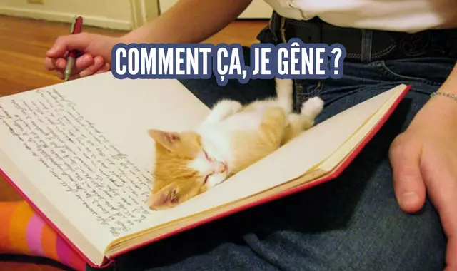 une_chat